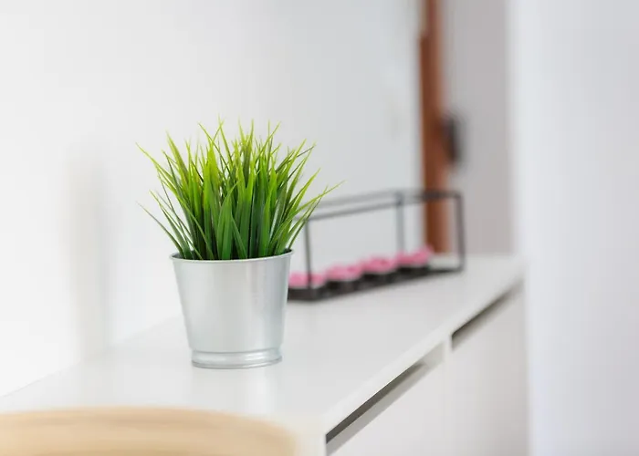 Green Corner *** Apartament Rijeka